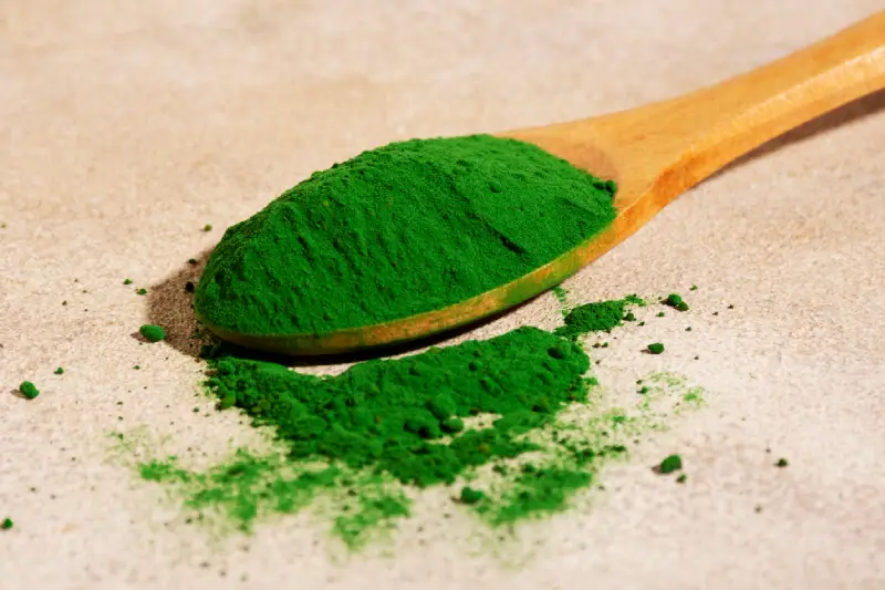 Qué es mejor ¿chlorella o espirulina?